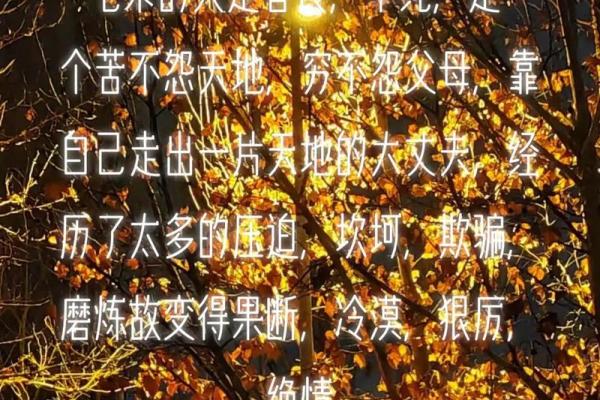 七杀暗藏玄机，命运真相竟是如此