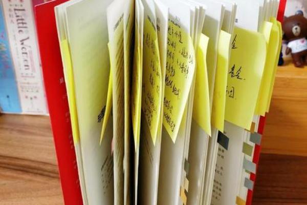 命运密码解析：你是否在误区中迷失？任泉命理揭示改变命运的关键