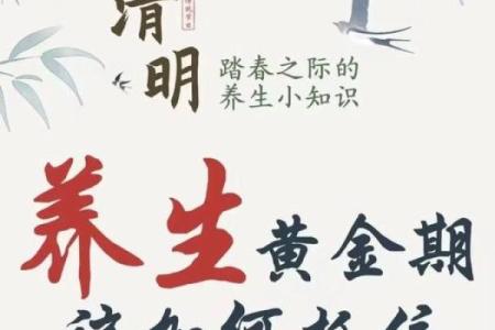 品味中国传统节日中的养生智慧