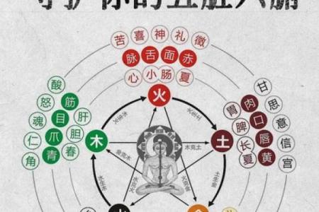 菀字五行颠覆传统，性格解析新视角：揭秘你的潜在天赋