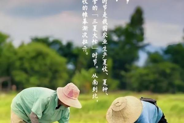 农耕岁月中的节日诗篇