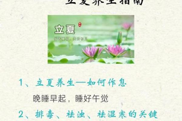 十二月节气与养生保健的小贴士 十二月节气与养生保健的小贴士