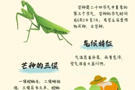 农耕节令的智慧：农事活动与收获的文化意义