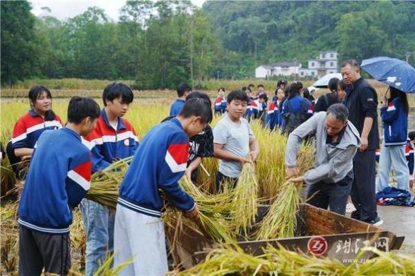 少数民族的农耕智慧与节日庆典