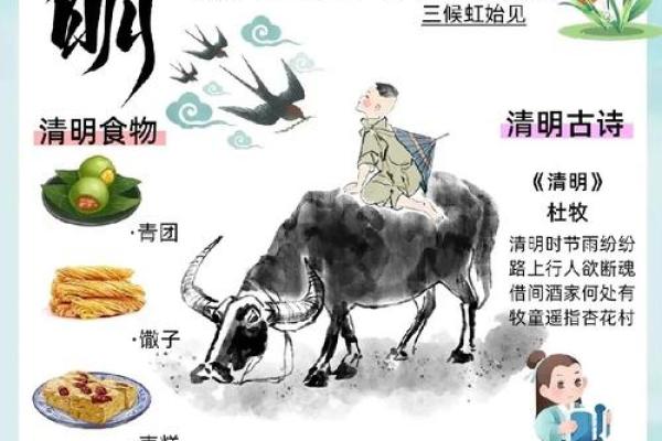 扫墓节日与自然节律的深刻联系