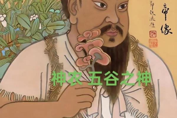 五腊节日背后的农耕智慧与天文变迁