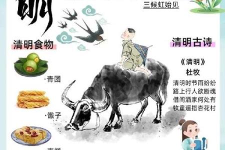 扫墓节日与自然节律的深刻联系