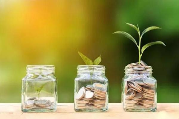 鱼儿五行格局揭秘：性格解析教你如何乘风破浪