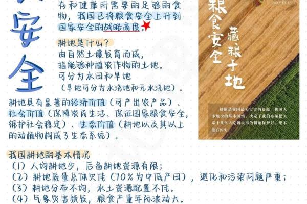 粮食节日的背后：如何通过传统文化守护粮食安全