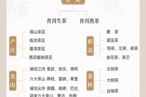 茶叶五行格局揭秘：如何根据茶叶属性找到你的性格解析？