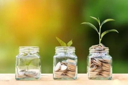 鱼儿五行格局揭秘：性格解析教你如何乘风破浪