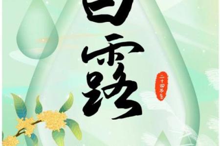 立秋与白露节气的天文变迁：一场秋天的启程