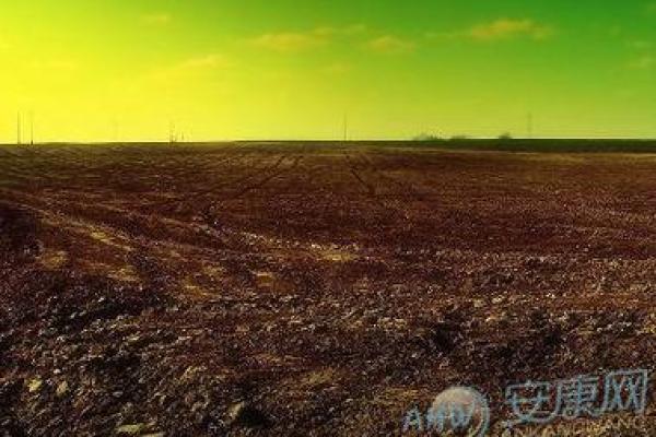 反转峻在五行中的真实面目，反而让你受益匪浅