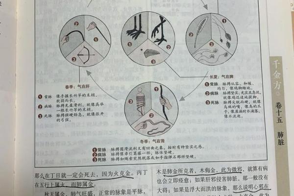 探索僵尸节日对健康养生的隐喻与启示