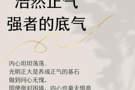 五行格局重塑：打造完美性格，提升生活品质