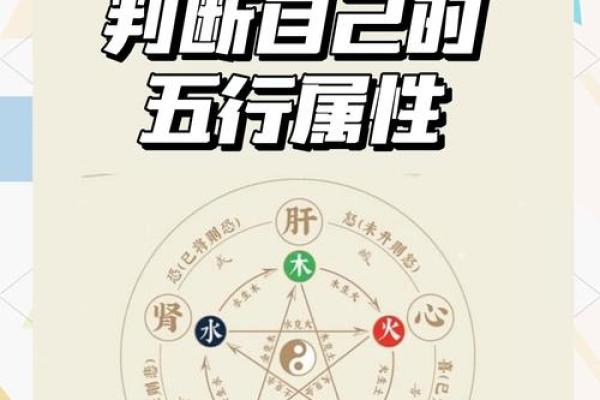 性格重塑指南：向的五行特质，如何改变你的命运格局？
