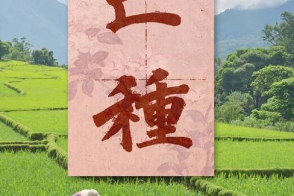 中国传统节日背后的农耕智慧 中国传统节日背后的农耕智慧