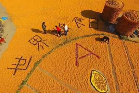 中国传统节日背后的农耕智慧