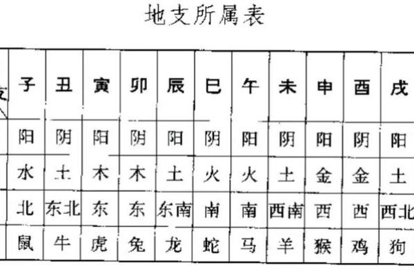 十二地支五行格局误区大揭秘:反而害了你的人生 十二地支五行格局误区大揭秘:反而害了你的人生