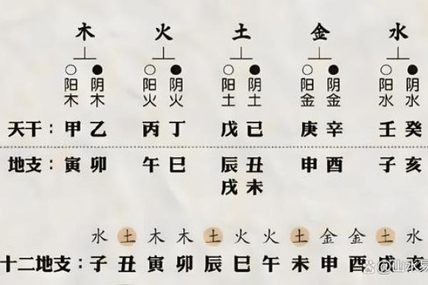 如何改变命运？纪字五行格局教你五行布局