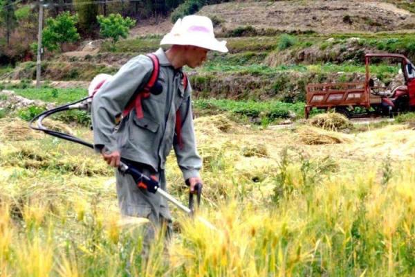 农耕节令:一季丰收前的田间劳作 农耕节令:一季丰收前的田间劳作