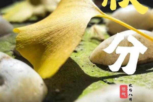 九月节气与农耕文化：从白露到秋分的养生与丰收