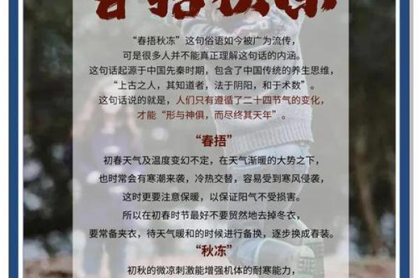 西方节日背后的养生智慧与传统习俗