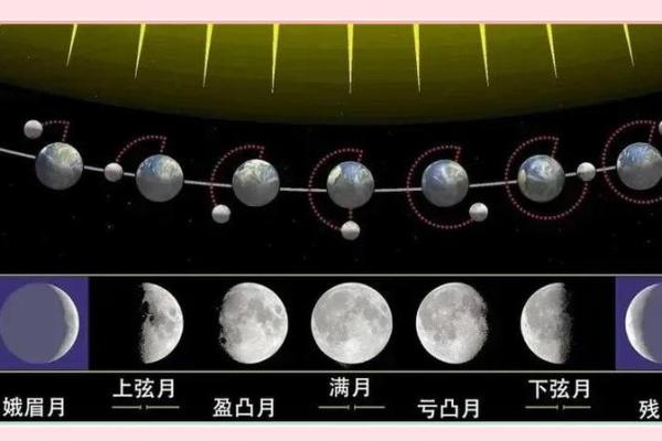 天文观赏与月饼的完美结合