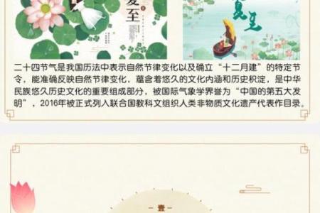 夏至节气：阳光最强的时刻，如何在夏至养生防暑？