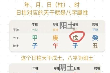 性格解析大揭秘：五行八字测试，免费测你缺哪一行？