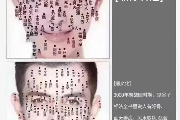 眉毛命运密码：你可能忽略的“面相”暗藏玄机，改变命运从这里开始