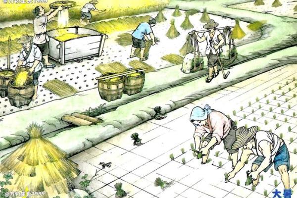 如何通过日了解古老的农耕习俗
