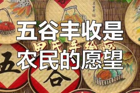 祭祀与丰收：粮食节日的传统与现代应用