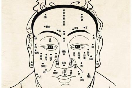 眉毛命运密码：你可能忽略的“面相”暗藏玄机，改变命运从这里开始
