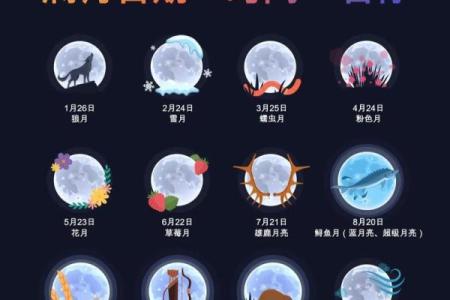 天文现象如何影响中国传统节日的时间安排