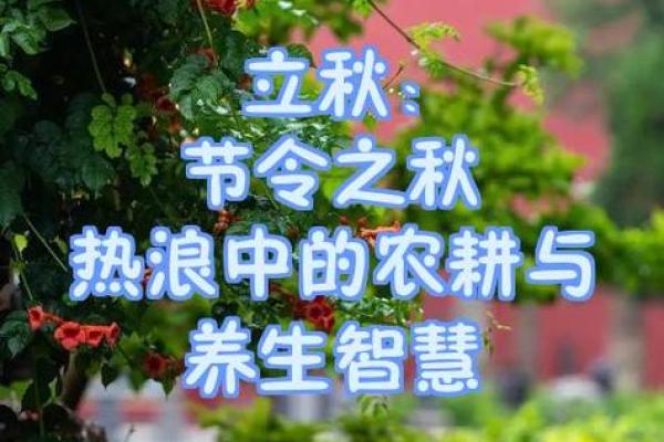 七月的传统节日~农耕文化与自然节令的深刻联系