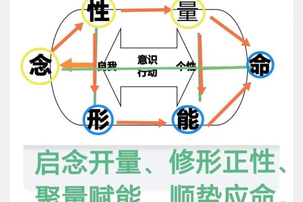 五行格局揭秘：性格解析的神奇力量，如何找到你的最佳人生方向？