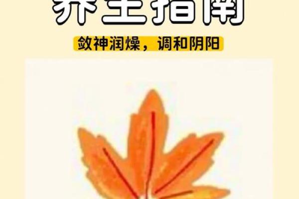 秋分养生指南：如何调节作息与饮食