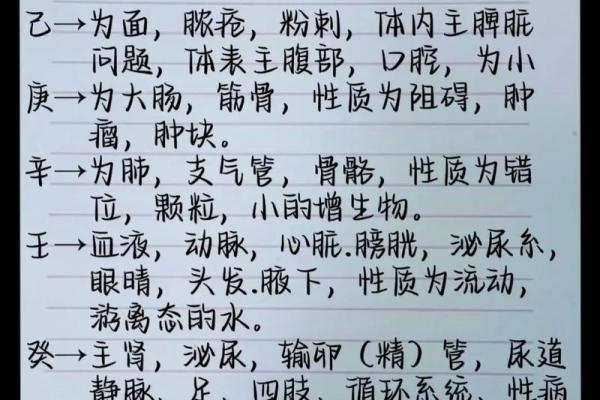 陈行五行格局揭秘：如何通过五行改变性格走向成功