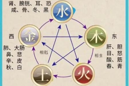 五行格局深度解析：沐五行属性性格，如何找到你的最佳匹配？