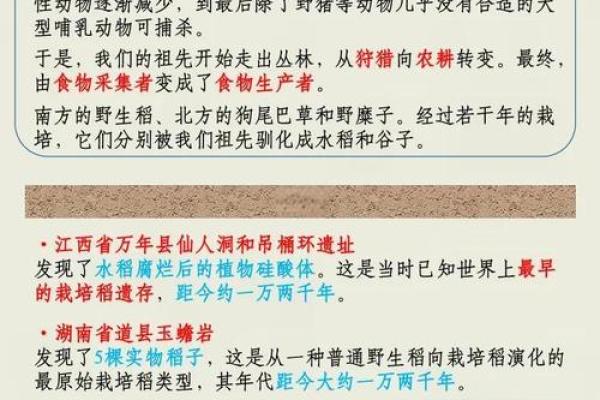 农耕文化与节令变迁:解读传统节日的深厚底蕴 农耕文化与节令变迁:解读传统节日的深厚底蕴