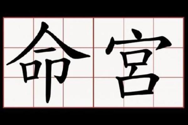 杨超越的命运密码：你不知道的八字背后真相