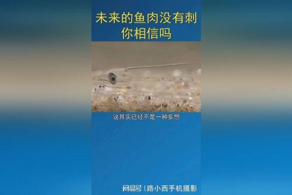 新房水泡竟颠覆命理观念，背后真相你敢相信吗？