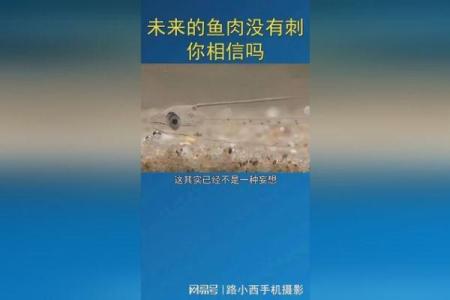 新房水泡竟颠覆命理观念，背后真相你敢相信吗？