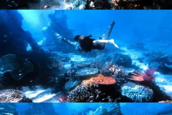 水族传统节日探秘:感受水下文化的独特魅力 水族传统节日探秘:感受水下文化的独特魅力