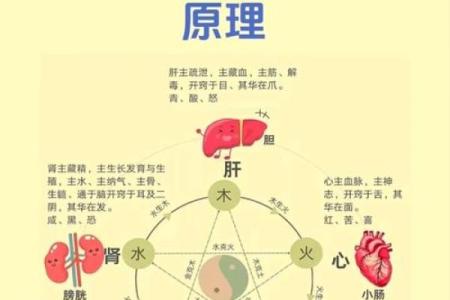 五行性格解析：破解五行格局，让你的人生更顺心