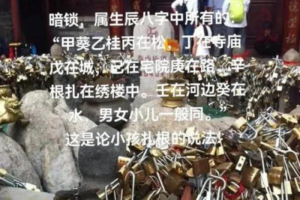 功核命理揭秘：如何从命运密码中找到成功的钥匙