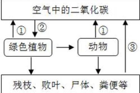 祭祀节日与自然循环的关系及其对养生的启示