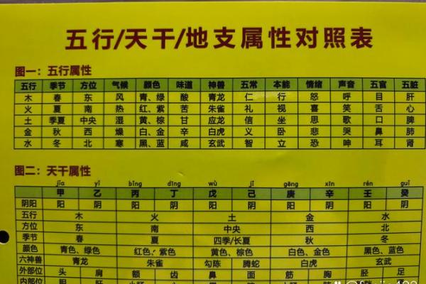 你的念是何种五行?揭秘性格解析中的神秘力量 你的念是何种五行?揭秘性格解析中的神秘力量