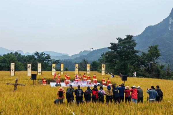 农耕节庆：秋收后的感恩与祈福